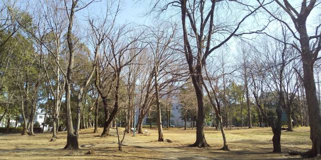 坂戸 千代田公園